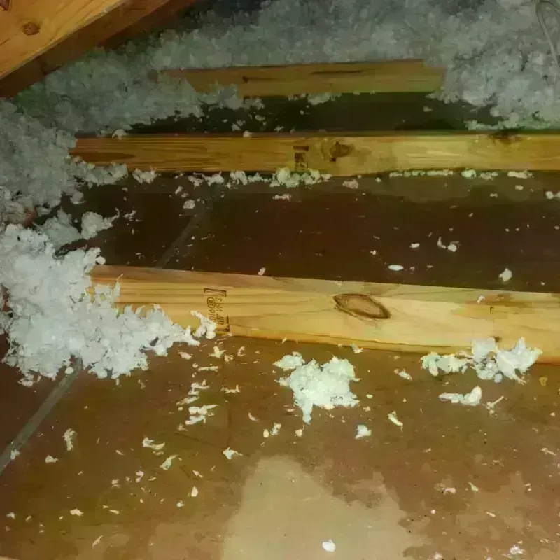 Attic Water Damage in Clinton County, IA