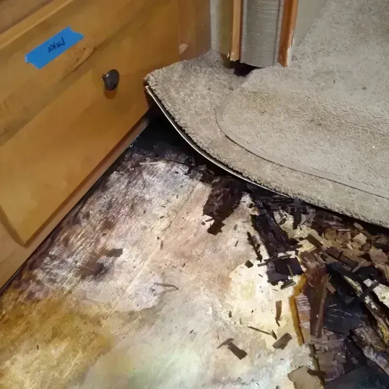 Wood Floor Water Damage in Clinton County, IA